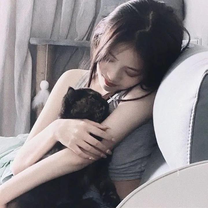 查科海报
