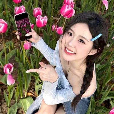 警花变色龙海报